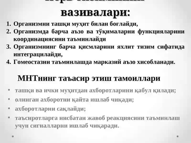 Нерв тизими биокимёси. 3