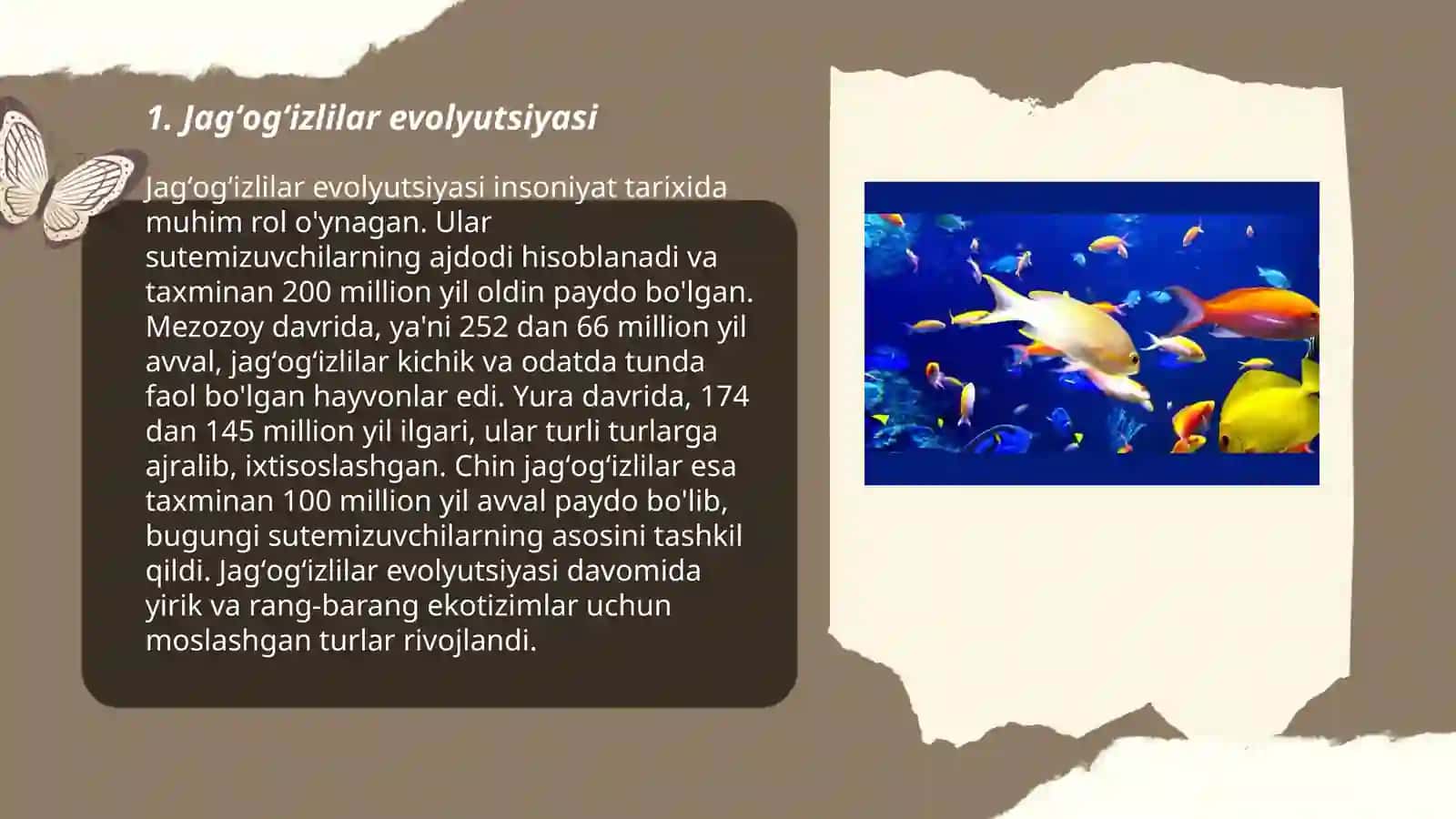 Jagʻogʻizlilar boʻlimi. Baliqlar katta sinfi 3