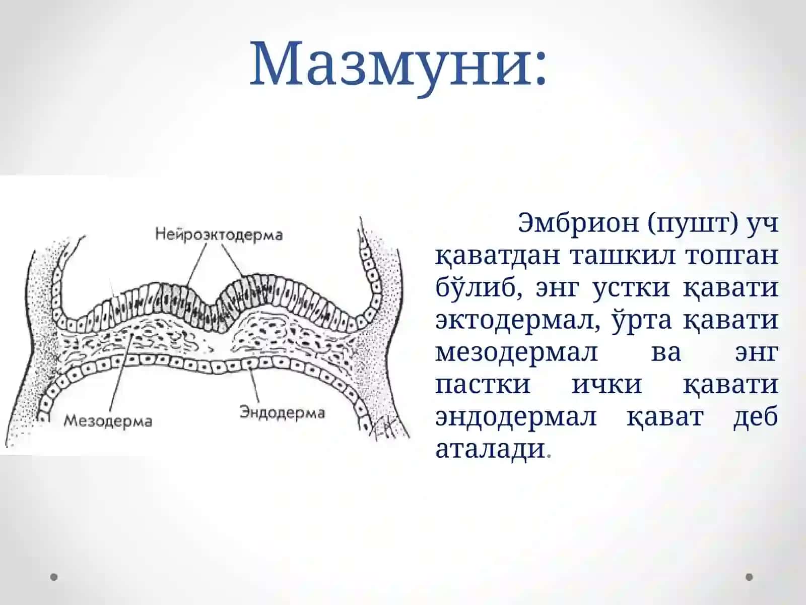 Нервсистемасининг(орқа мия, узунчоқ мия, ретикуляр формация)физиологияси 3