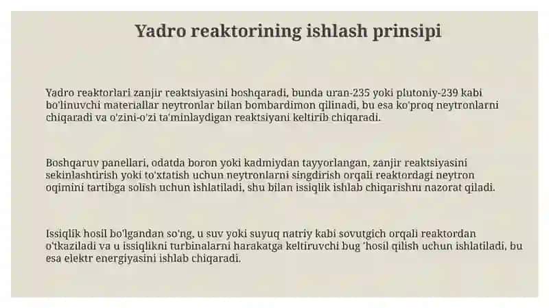 Yadro reaktorining xavfliligi 3