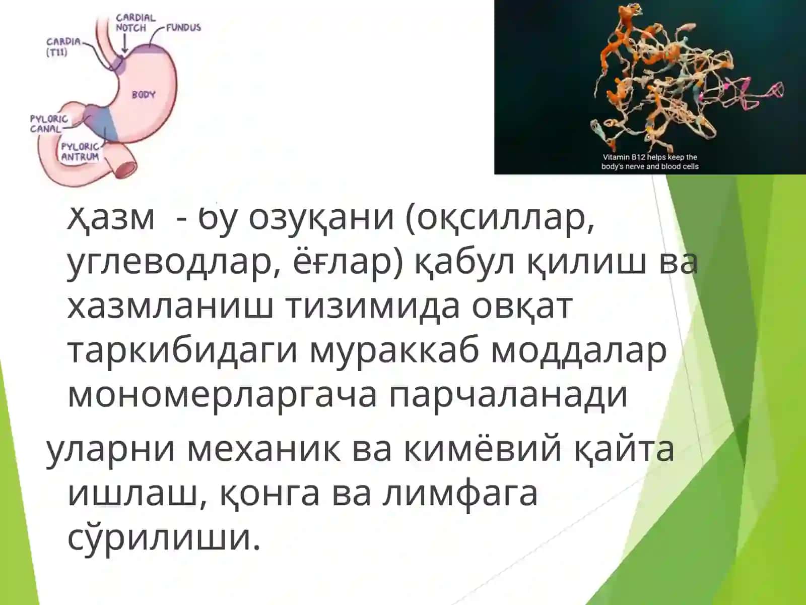 Хазм ва унинг турлари 3