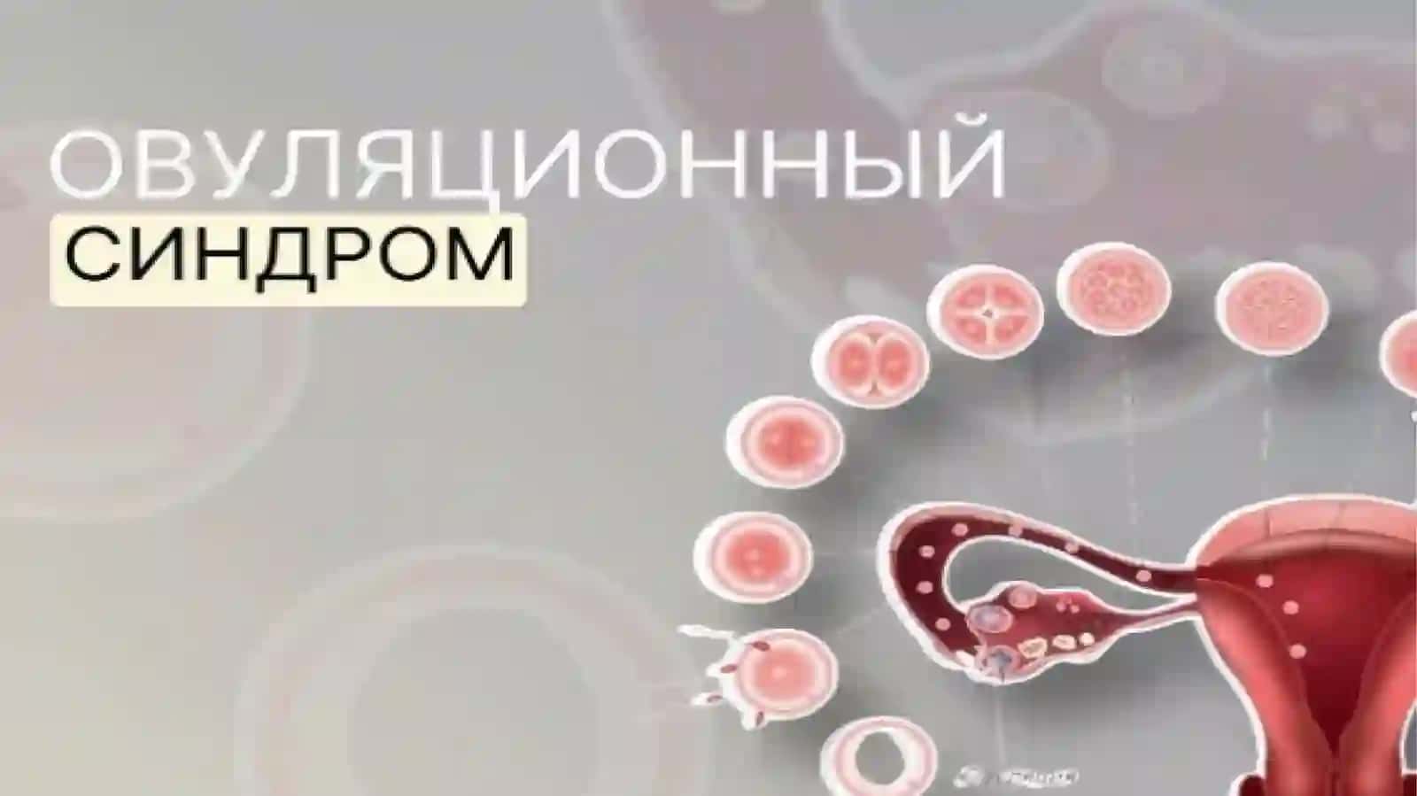 KopTarmoqli Tibbiyot Texnikumi Hamshiralikishiyonalishi114-guruhtalabasi 3