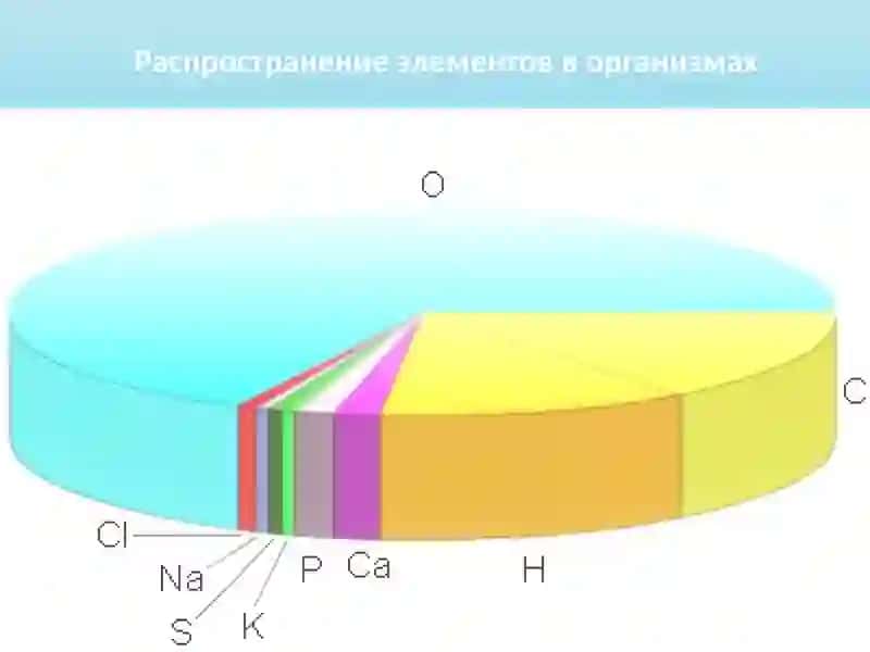 Химический состав клетки 3