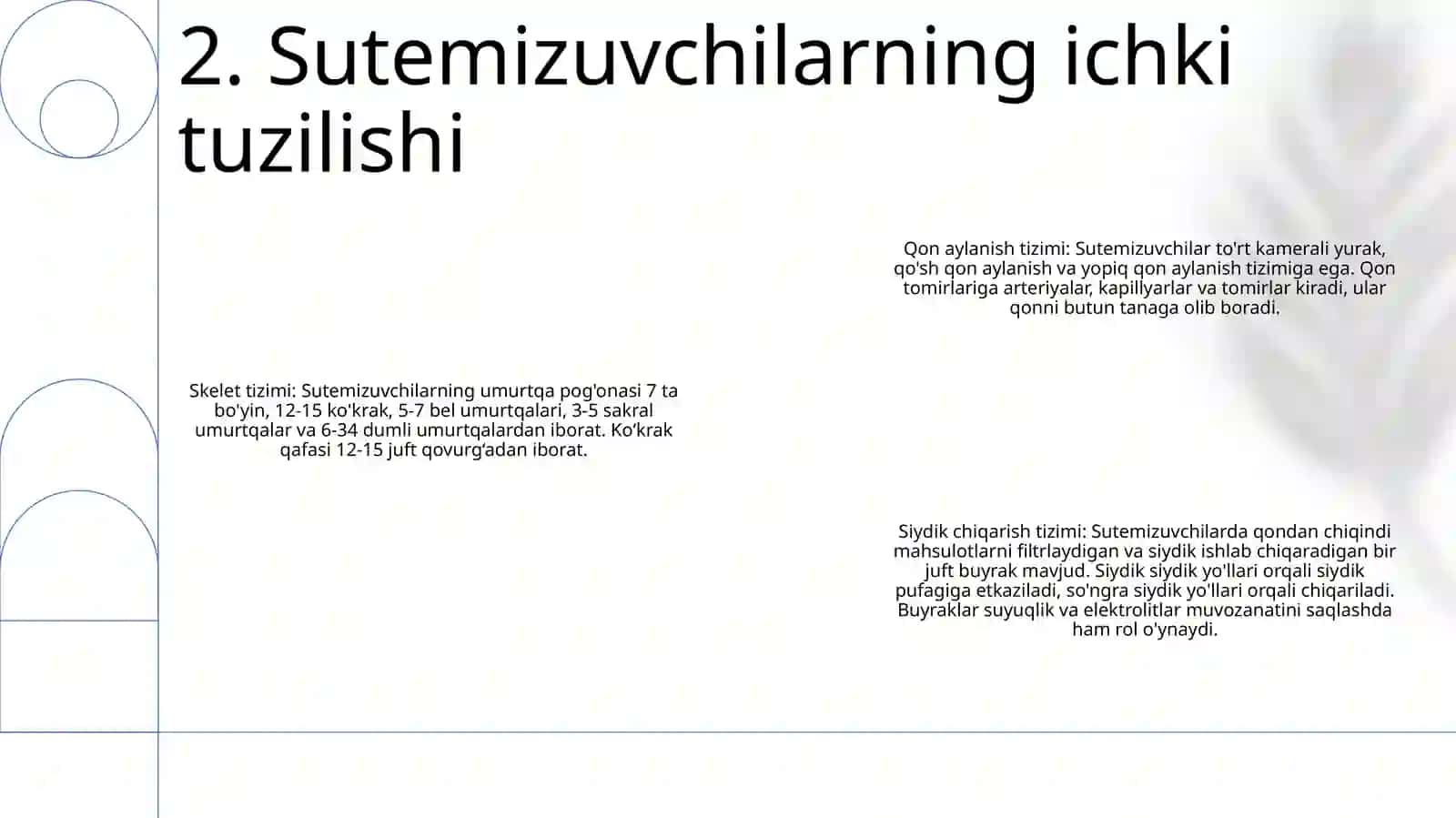 Sutemizuvchilarning Tashqi Va Ichki Tuzilishi. Sutemizuvchilar Ekologiyasi 3