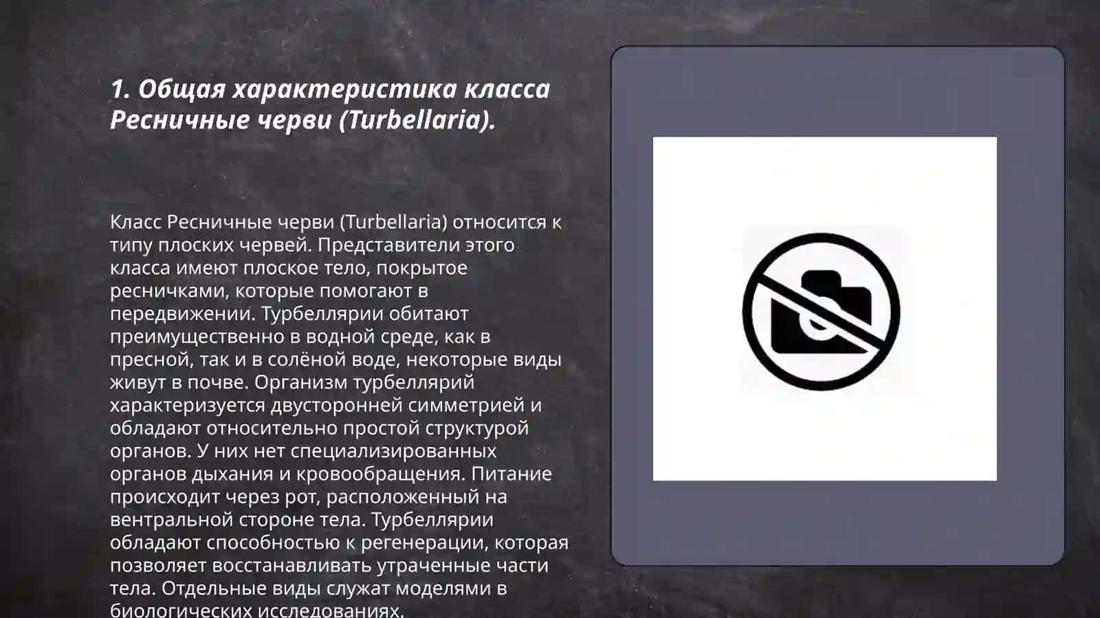 Молочная планария (Dendrocoelium lacteum) 3