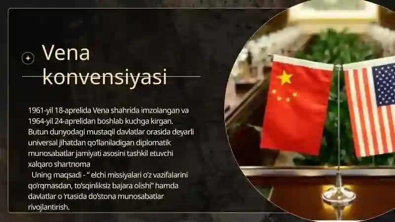 Vena konvensiyasi 3