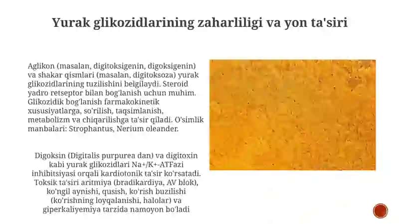 Yurak glikazitlarining kimyoviy tuzilishi va ahamiyati 3