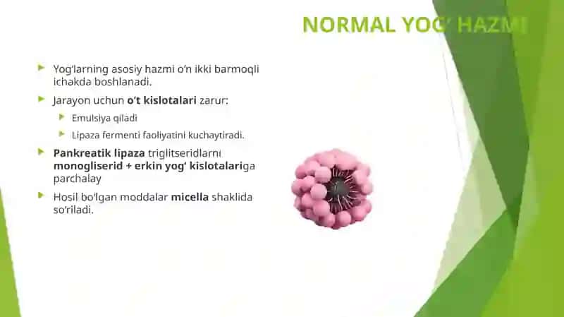 Xolesistitlarda yog'lar hazmlanishining buzilishi (Steatoreya) 3