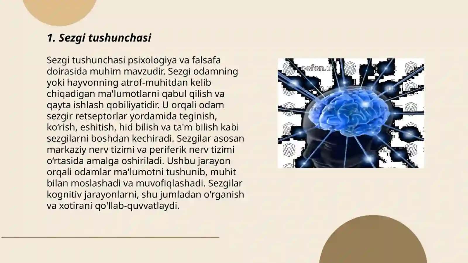 Sezgi haqida tuwuncha va uning nerv fiziolagik asosi 3