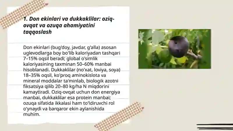 Madaniy oʻsimliklarni amaliy ahamiyatini bir biridan qiyoslash 3