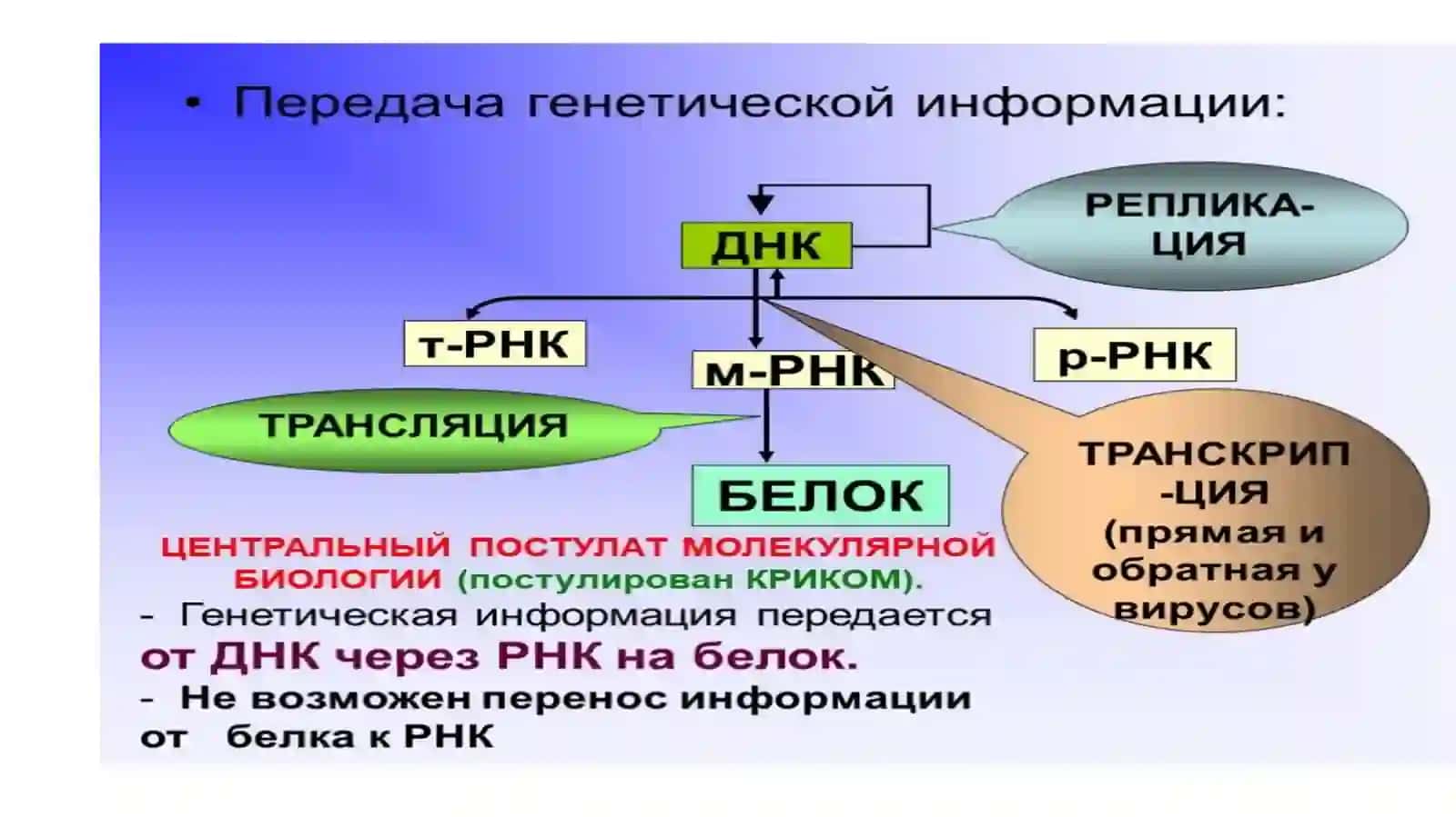 Курс БИОХИМИЯ И МОЛЕКУЛЯРНАЯ БИОЛОГИЯ 3