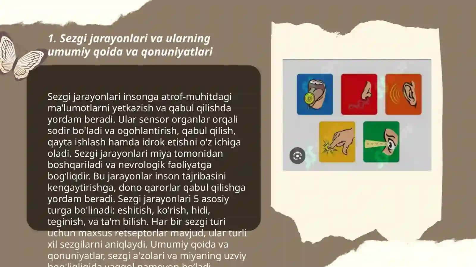 Sezgilarning umumiy qonuniyatlari 3