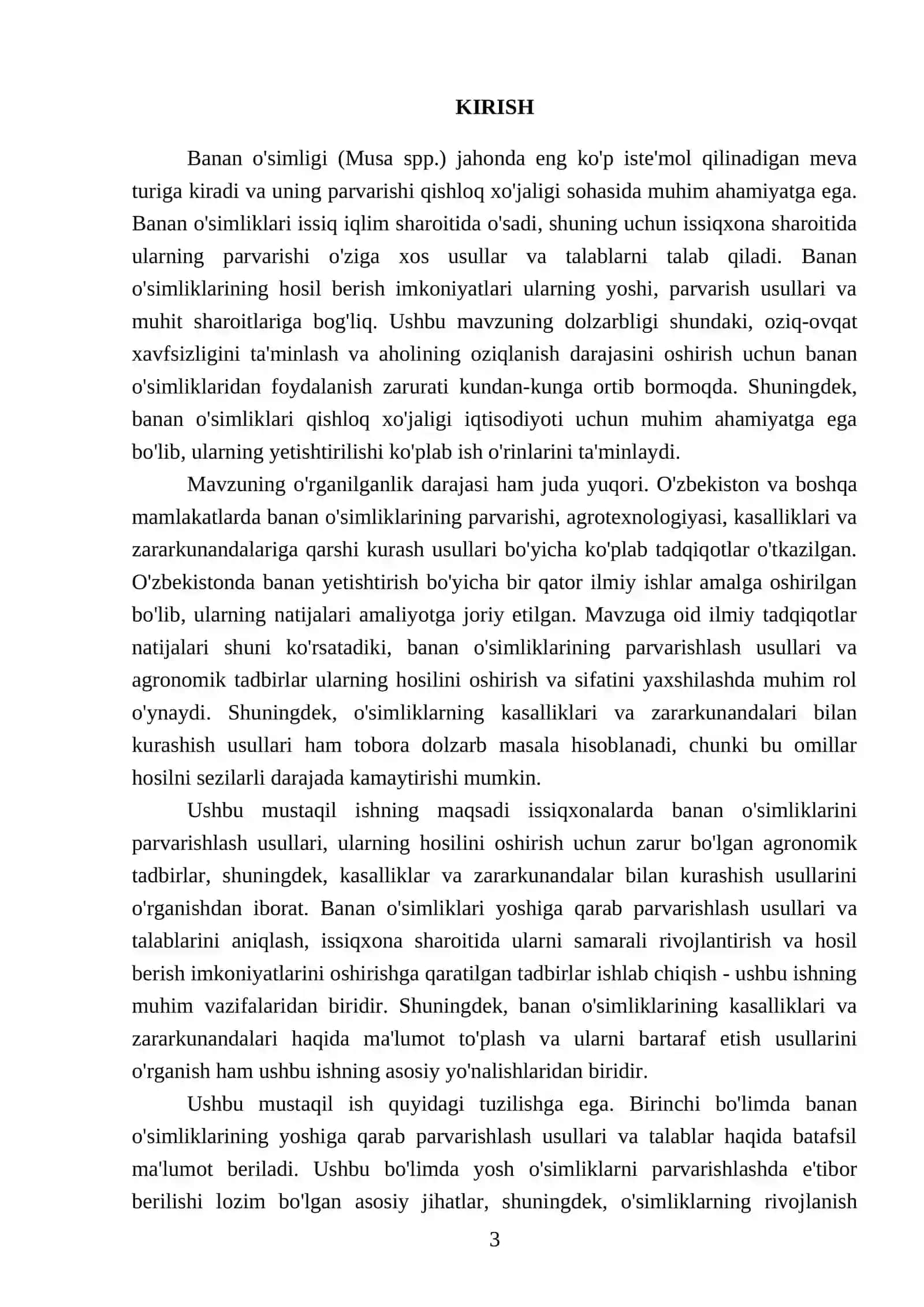 Issiqxonalarda yosh va hosili banan o'simligini parvarishlash 3