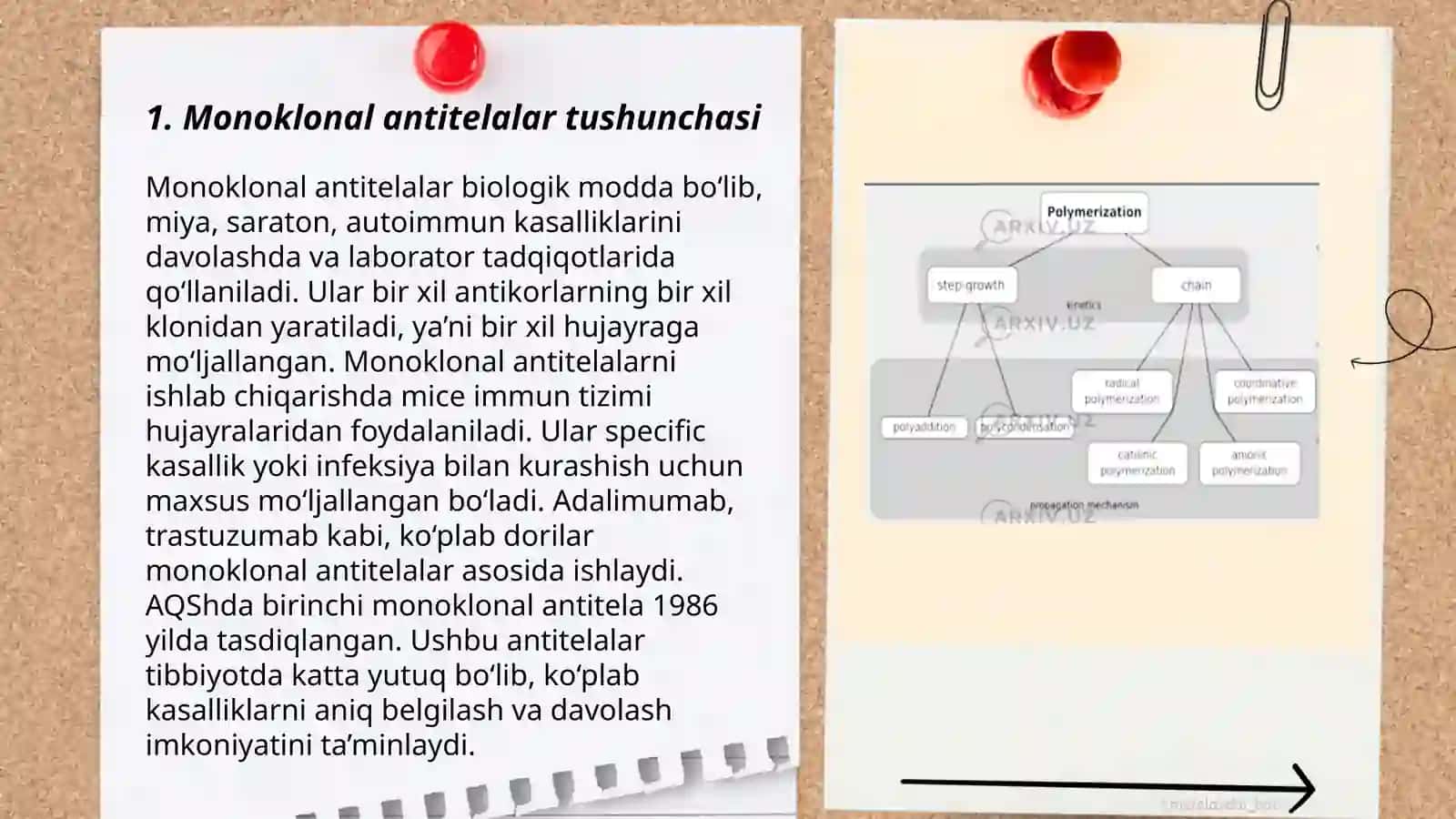Monoklonal antitelalar, ularning olinishi, tiplari va amaliyotda qoʻllanilishi 3