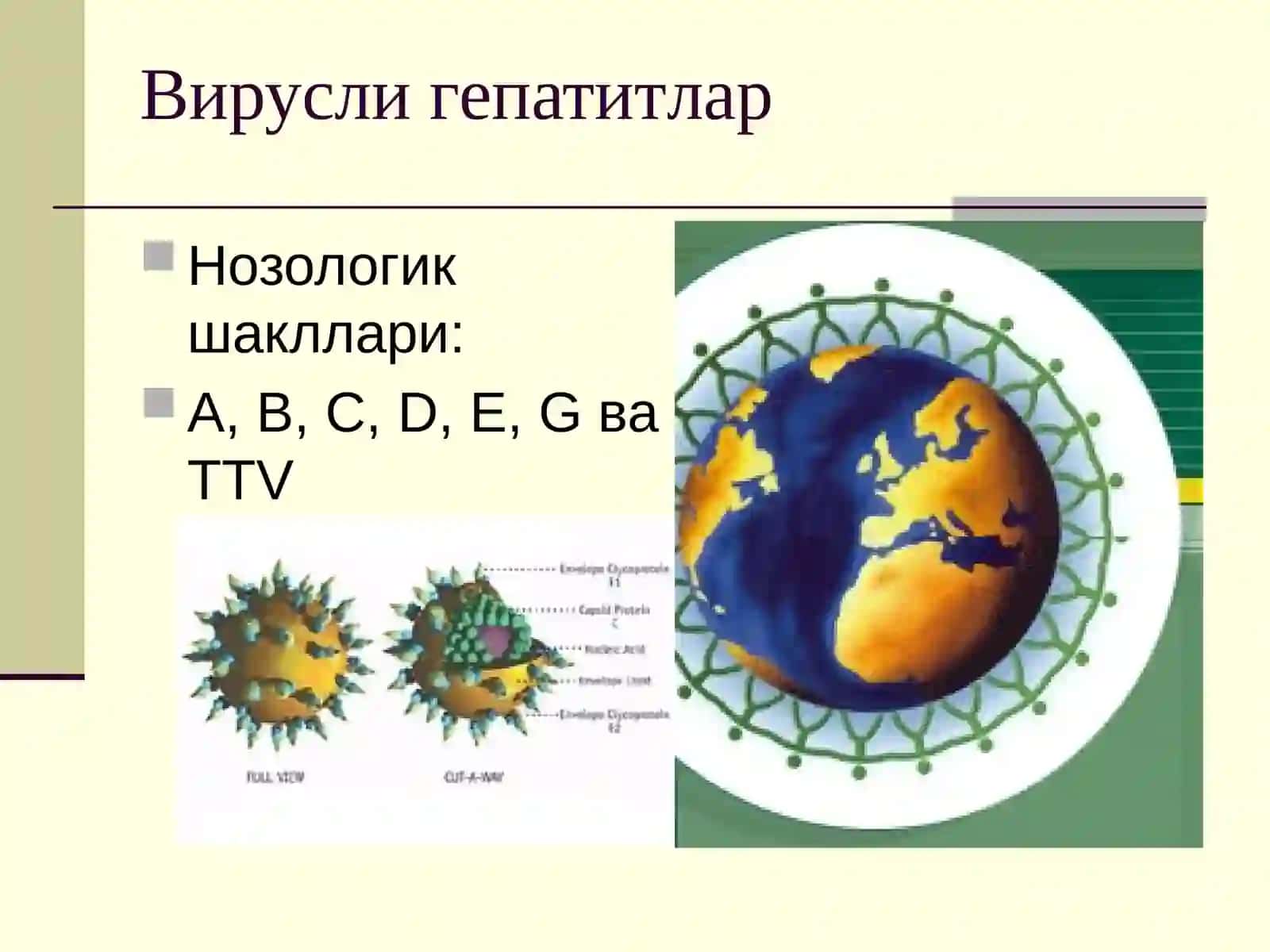 ВИРУСЛИ ГЕПАТИТЛАР 3