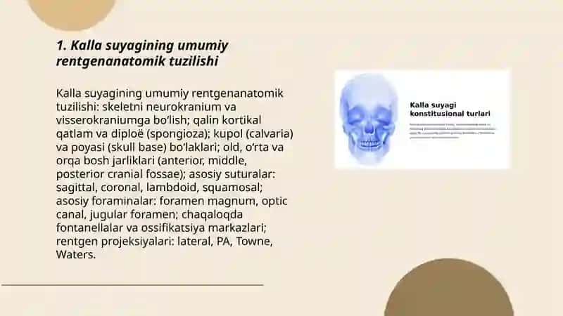 Kalla suyaklarining rentgenanatomiyasi 3