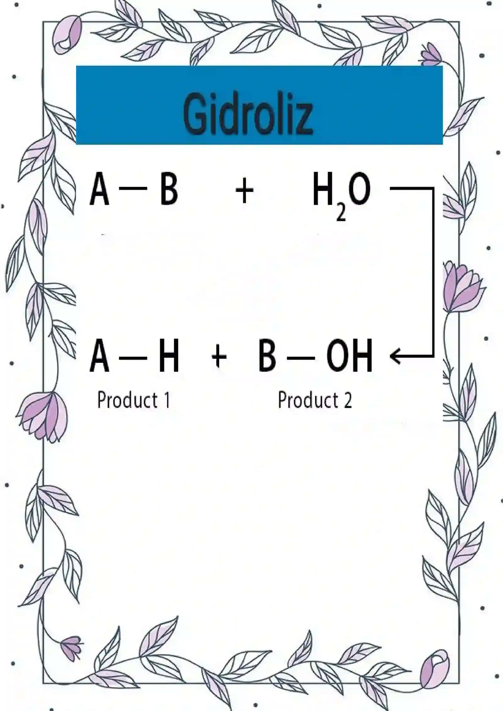 Tuzlar gidrolizi 3