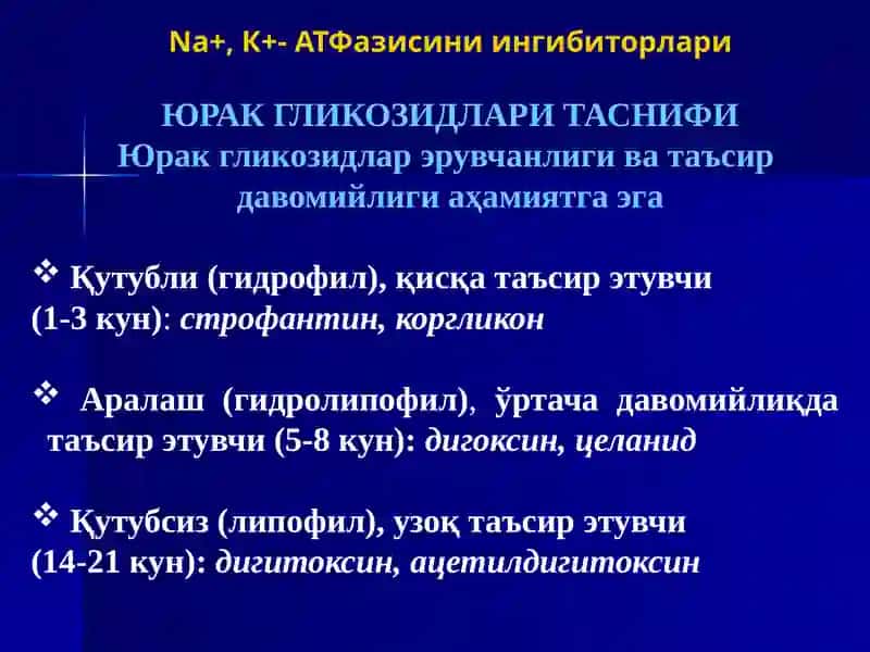 ТАРКИБИДА ЮРАК ГЛИКОЗИДЛАРИ МАВЖУД ДОРИВОР   ЎСИМЛИКЛАР 3