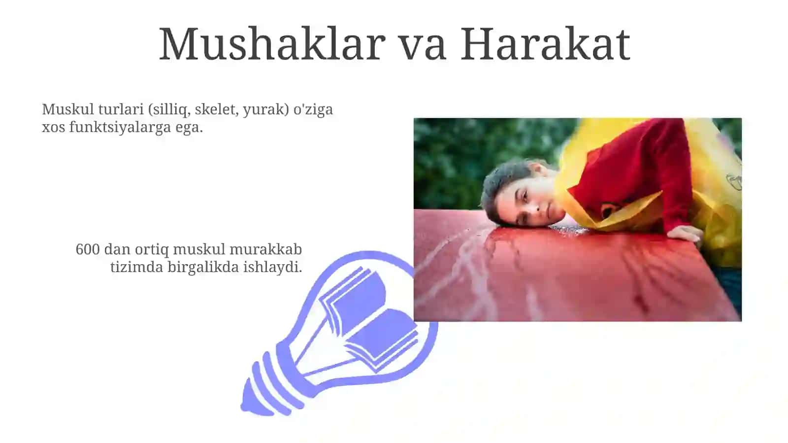 Muskul Anatomiyasi 3