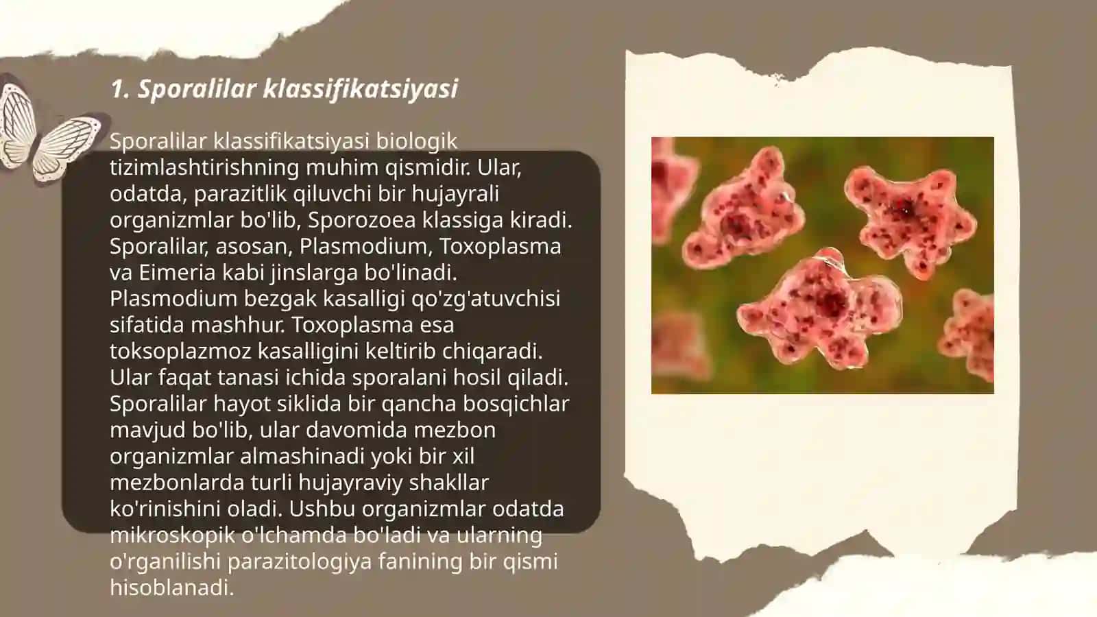 Sporalilar-bezgak plazmodiysi (bezgakni turli xillarini qoʻzgʻatuvchilar) 3