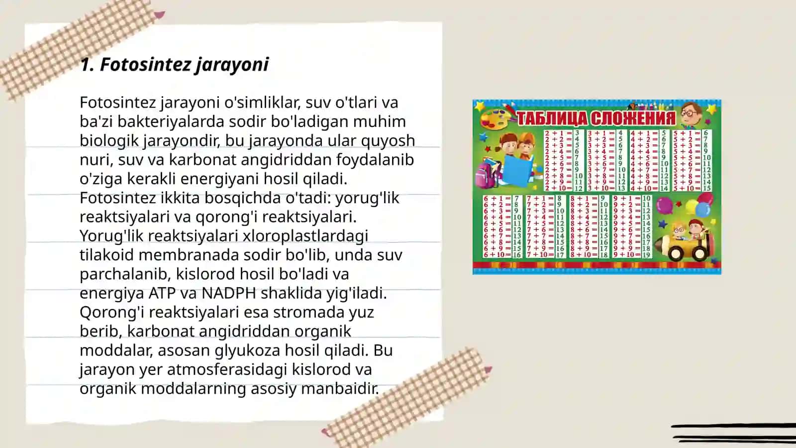 Trik organizmlardagi fizialogik jarayonlar 3