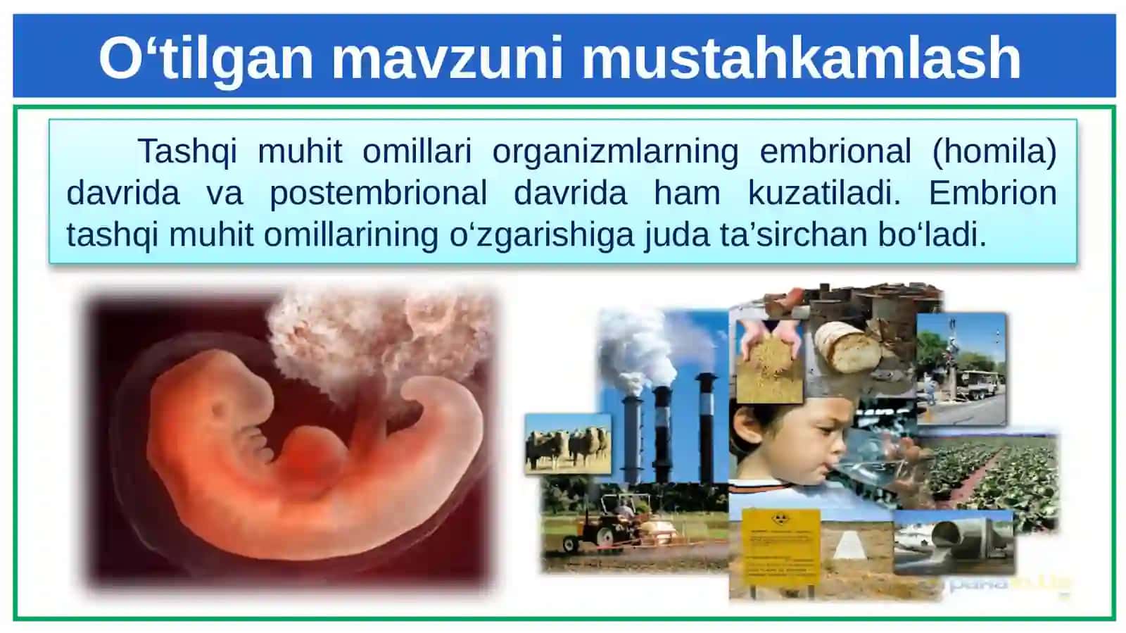 Rivojlanishning umumiy qonuniyatlari. Biogenetik qonun. Embrionlarning o‘xshashliklari 3