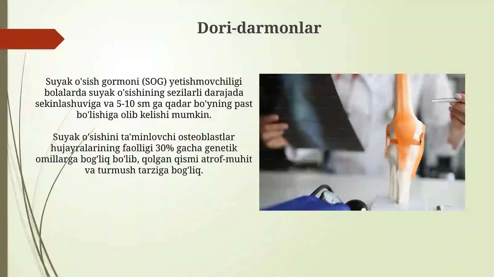 Suyaklar o'sishi va rivojlanishiga ta'sir etuvchi omillar 3