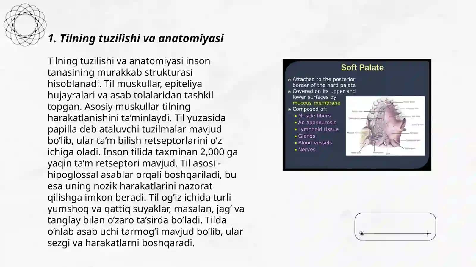 Tilning tuzilishi va anatomiyasi 3