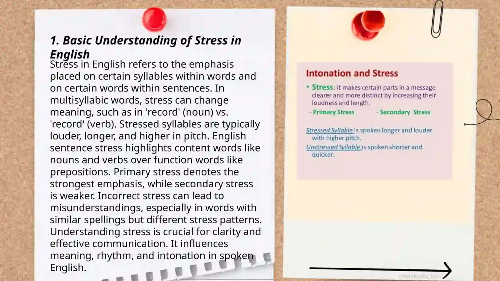 Primary and secondary stress for Elementary course 3