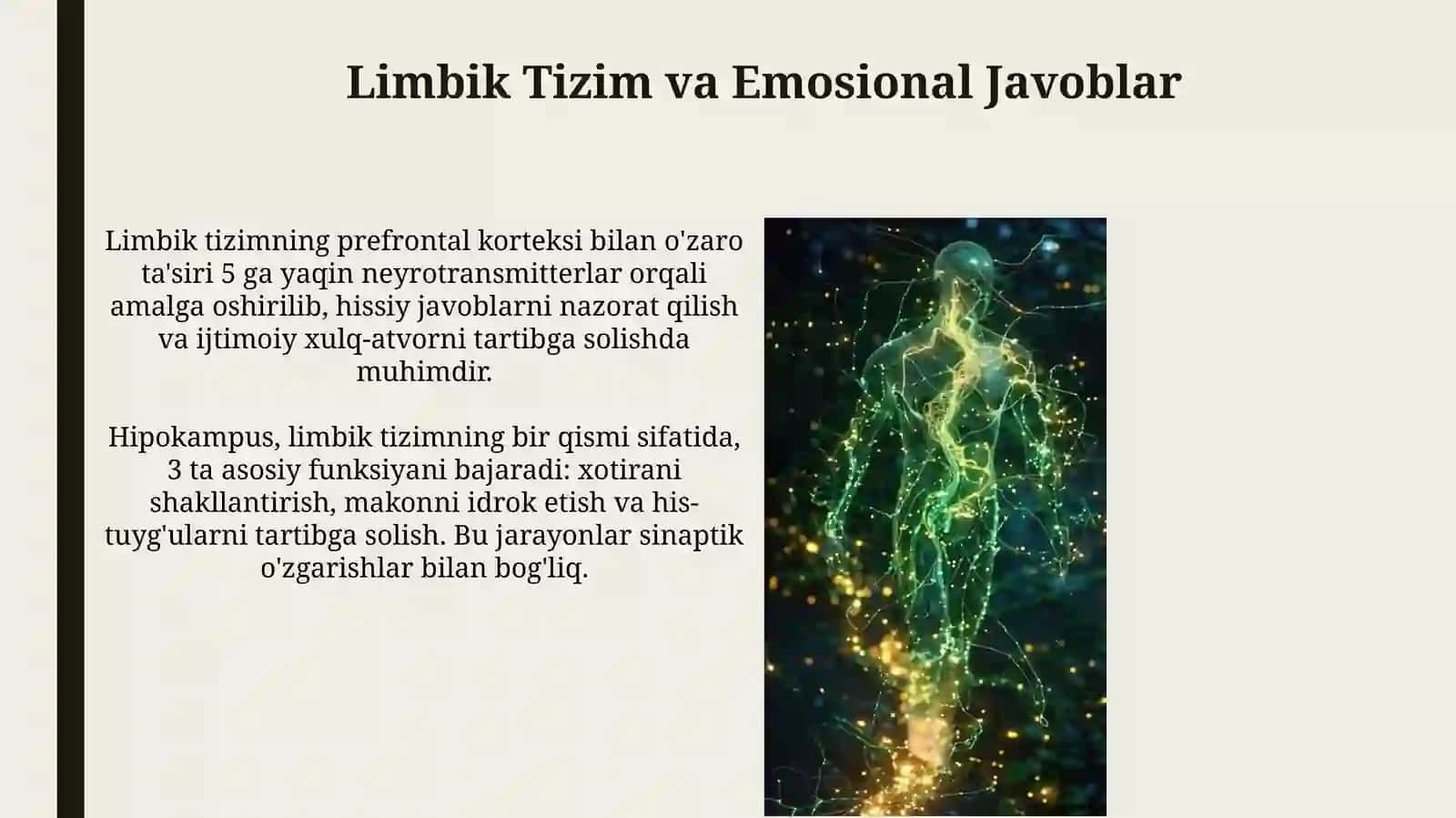 Oliy nerv tizimi va shartlireflekslar 3