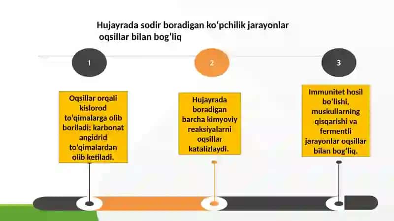 Oqsillar almashinuvi 3
