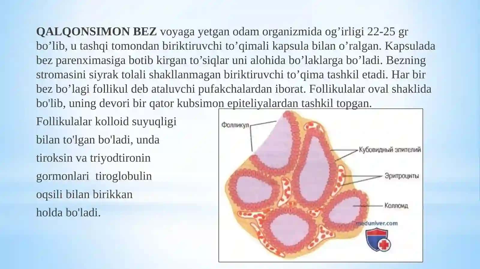 Qalqonsimon bez kasalliklari patofiziologiyasi 3