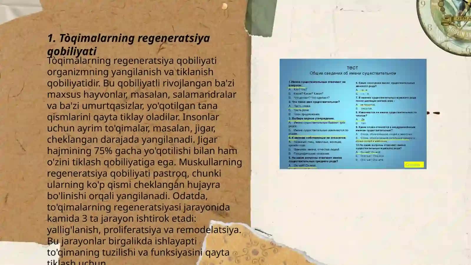 Tòqimalarning fiziologik va reparativ regeneratsiyasi 3