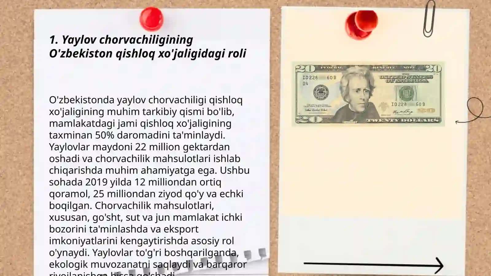 Yaylov chorvachiligining O'zbekiston qishloq xo'jaligidagi roli 3