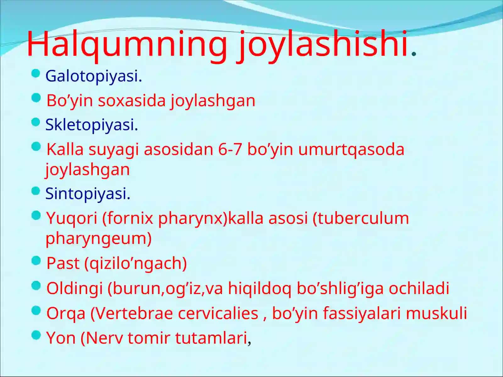 Halqum tuzilishi 3
