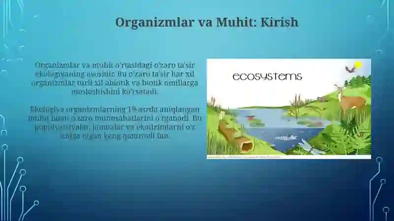 Organizm va muhit 3