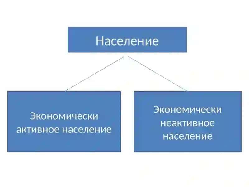 Статистика  рынка труда 3