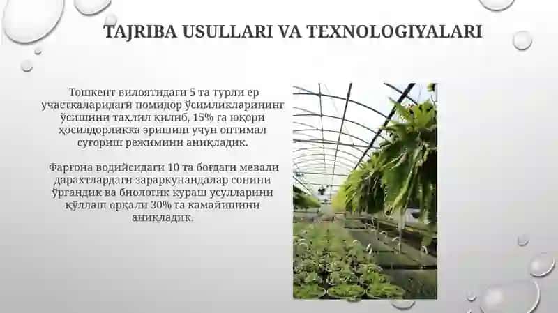 O'simliklarni turli muhit sharoitida o'stirib o'rganamiz 3