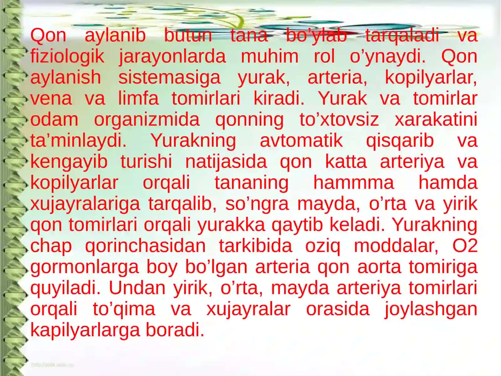 Yurak–qon tomir nafas sistemasining yosh xususiyati va gigienasi 3