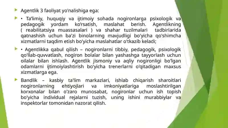 Hozirgi davrda xorijda rivojlanishdan uqsonib o'lgan bolalar psixologik va pedagogik yordamni ta'sir etish 3