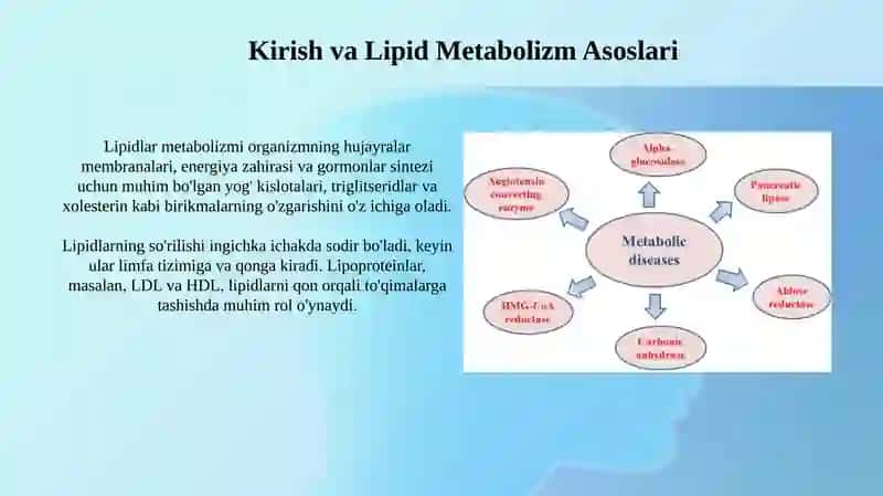 Lipid metabolizmi 3