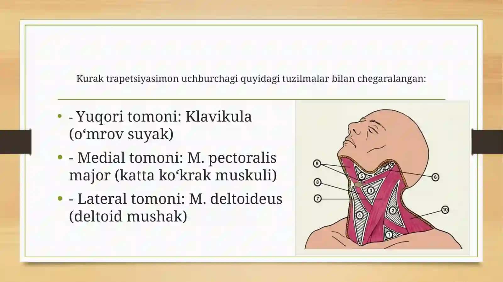 Kurak Trapetsiyasimon uchburchagi 3