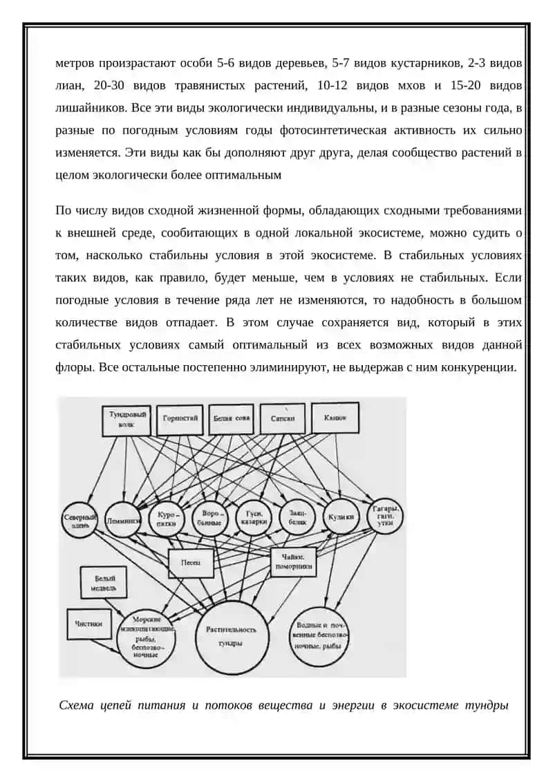 Популяционная экология. Биоразнообразие и функции экосистем 3