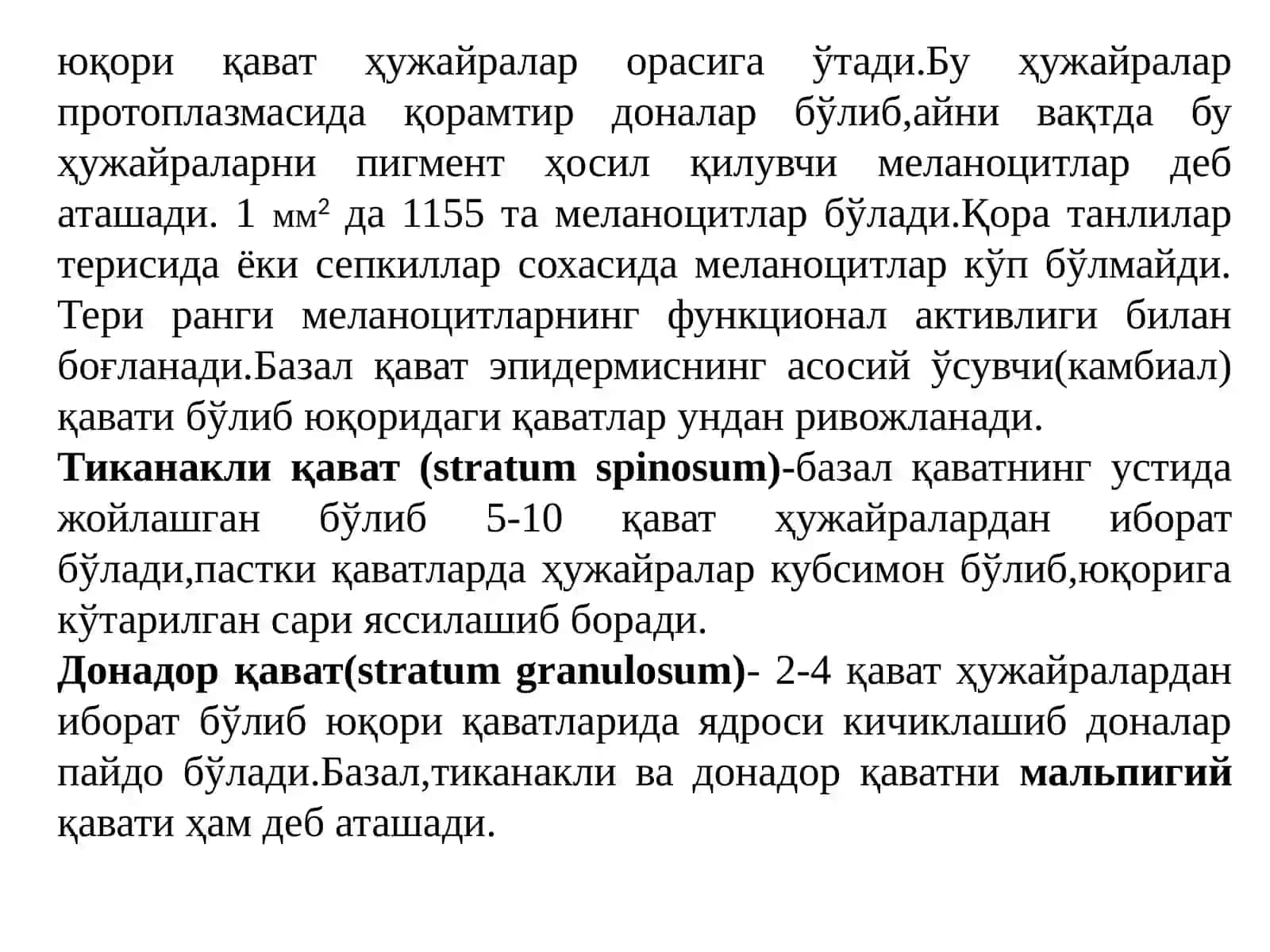 ТЕРИ РАКИ 3