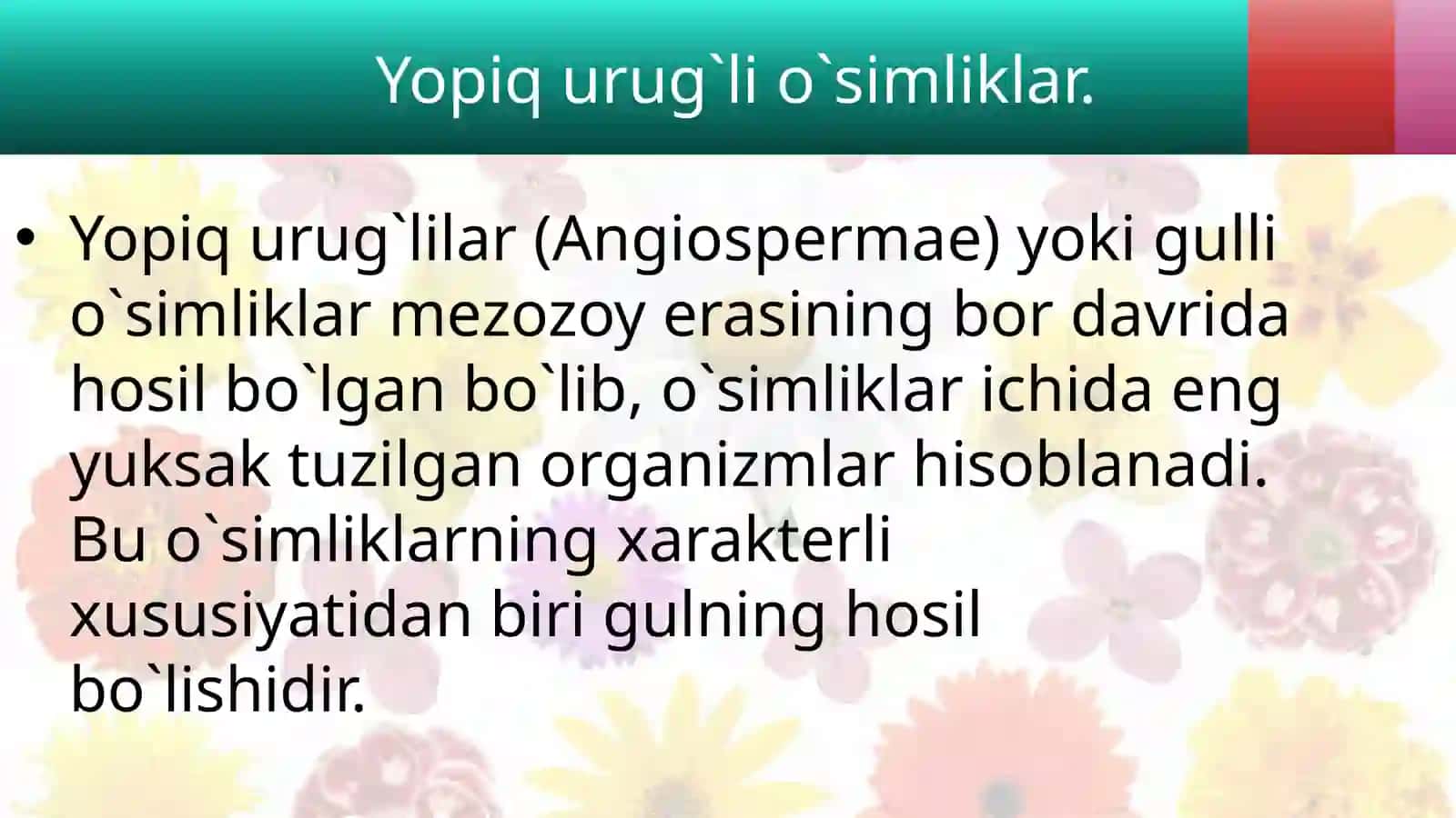 YOPIQ URUG`LI(ANGIOSPERMAE)O'SIMLIKLAR BILAN UMUMIY TANISHISH 3
