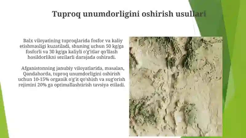 Afg'onistontuproqlari 3