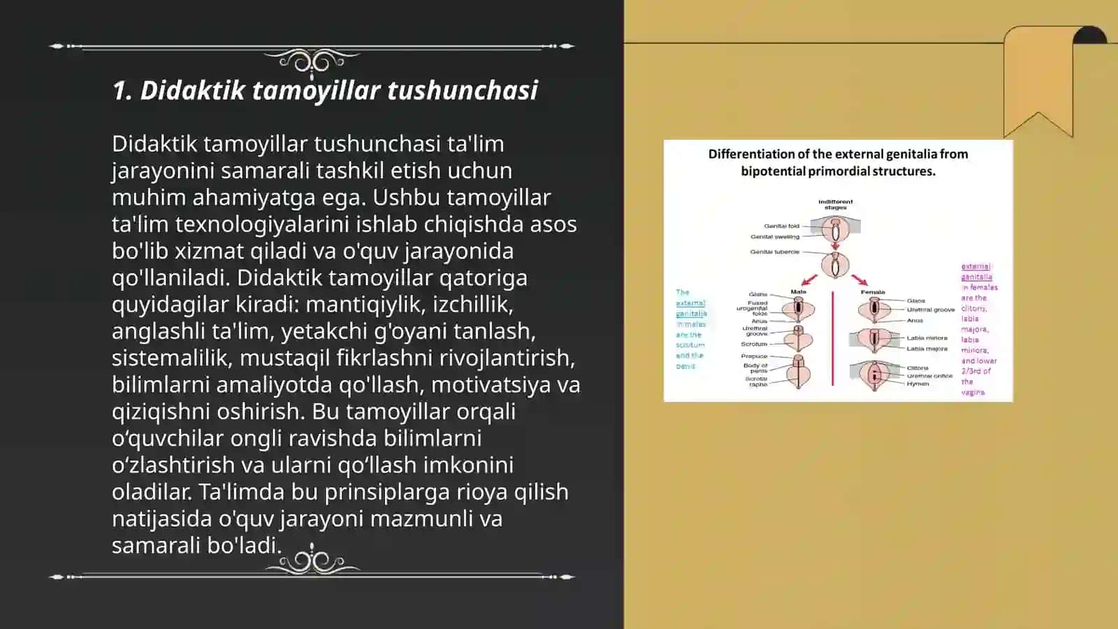 Boshlangʻich taʼlimda didaktik tamoyillarni qoʻllash 3