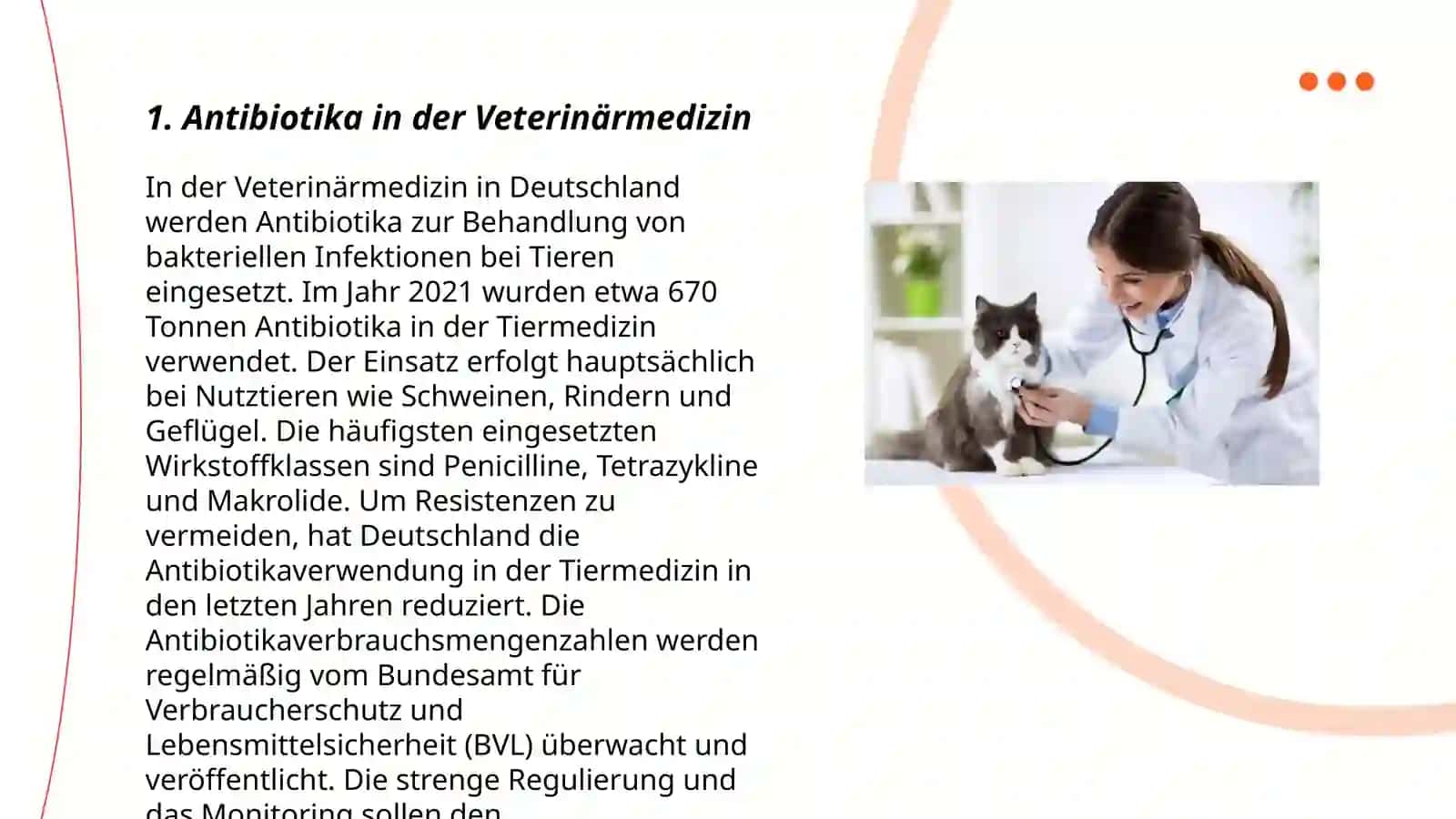 Antibiotika in der Veterinärmedizin 3