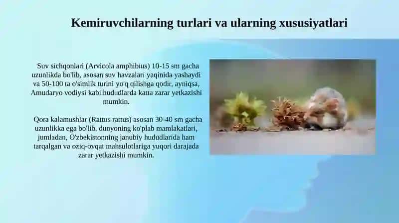 Kemiruvchilarga qarshi kurash usullari 3