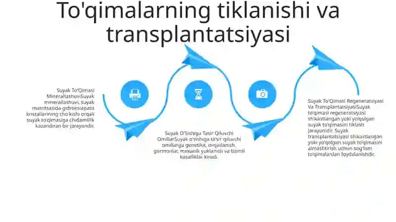Suyak To'Qimasi Minerallashuvi, Uning Tartibga Solinishi Va Buzilishi 3
